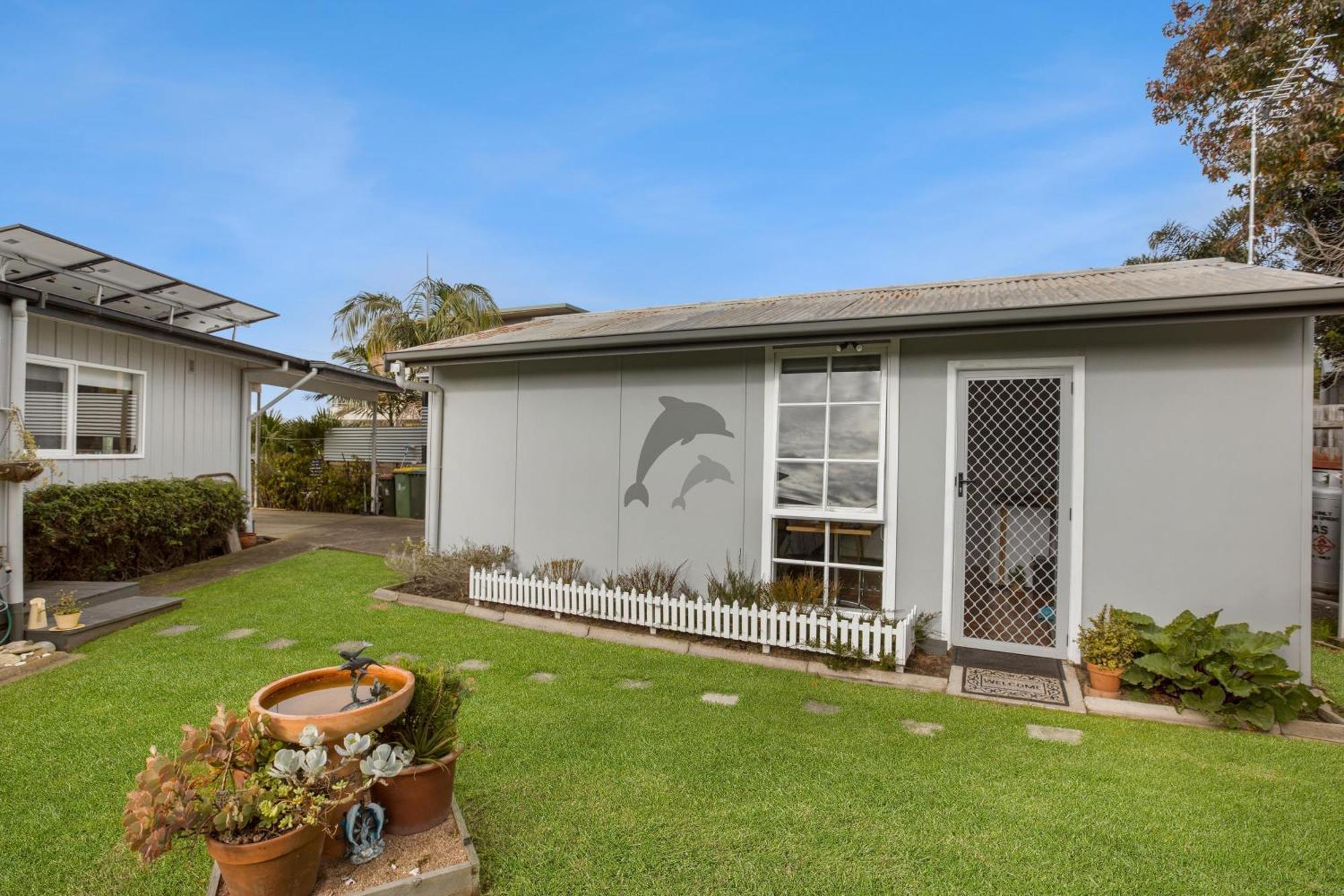 Dolphin Paynesville